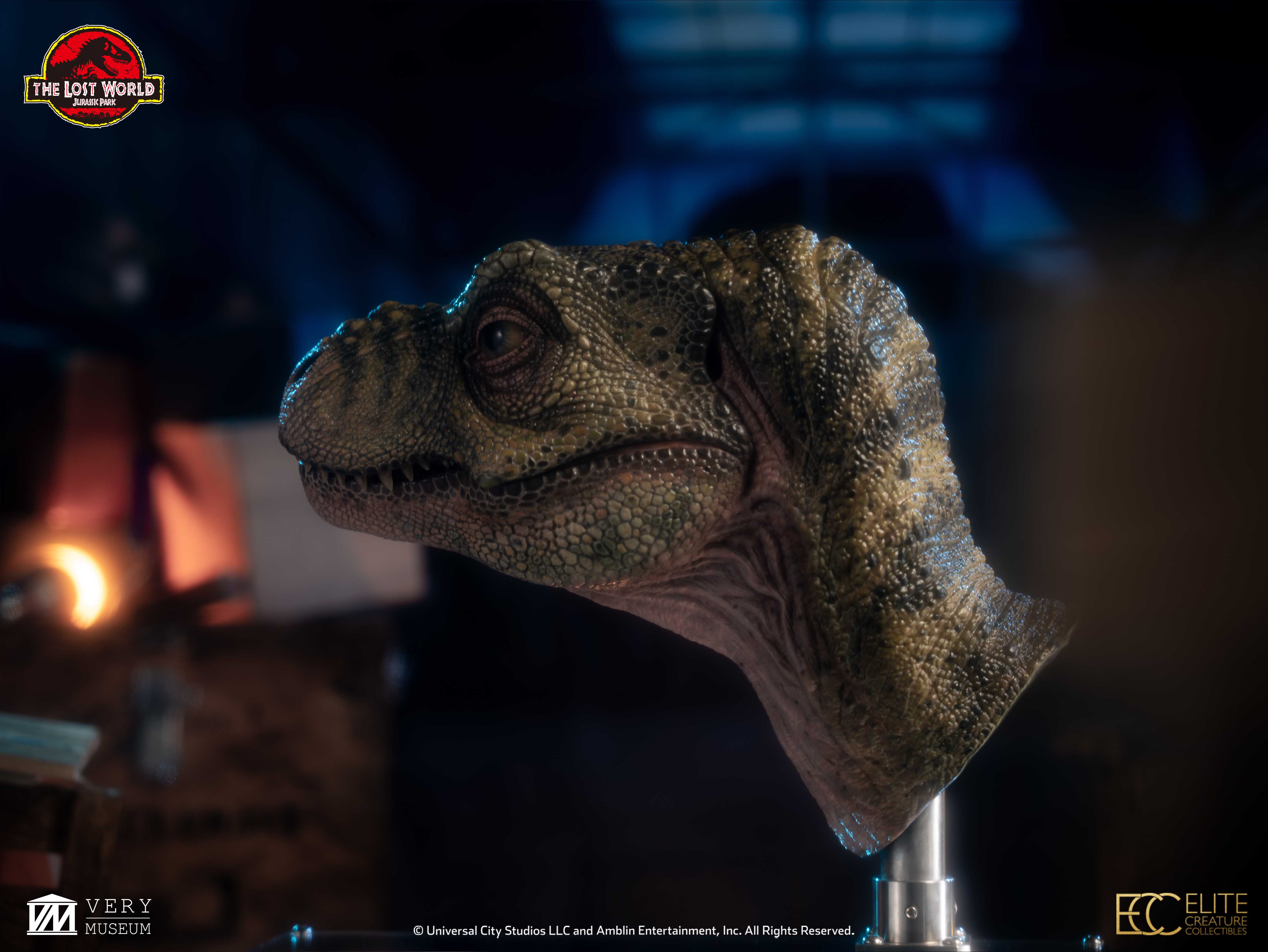 Junior T. rex Life-size Bust