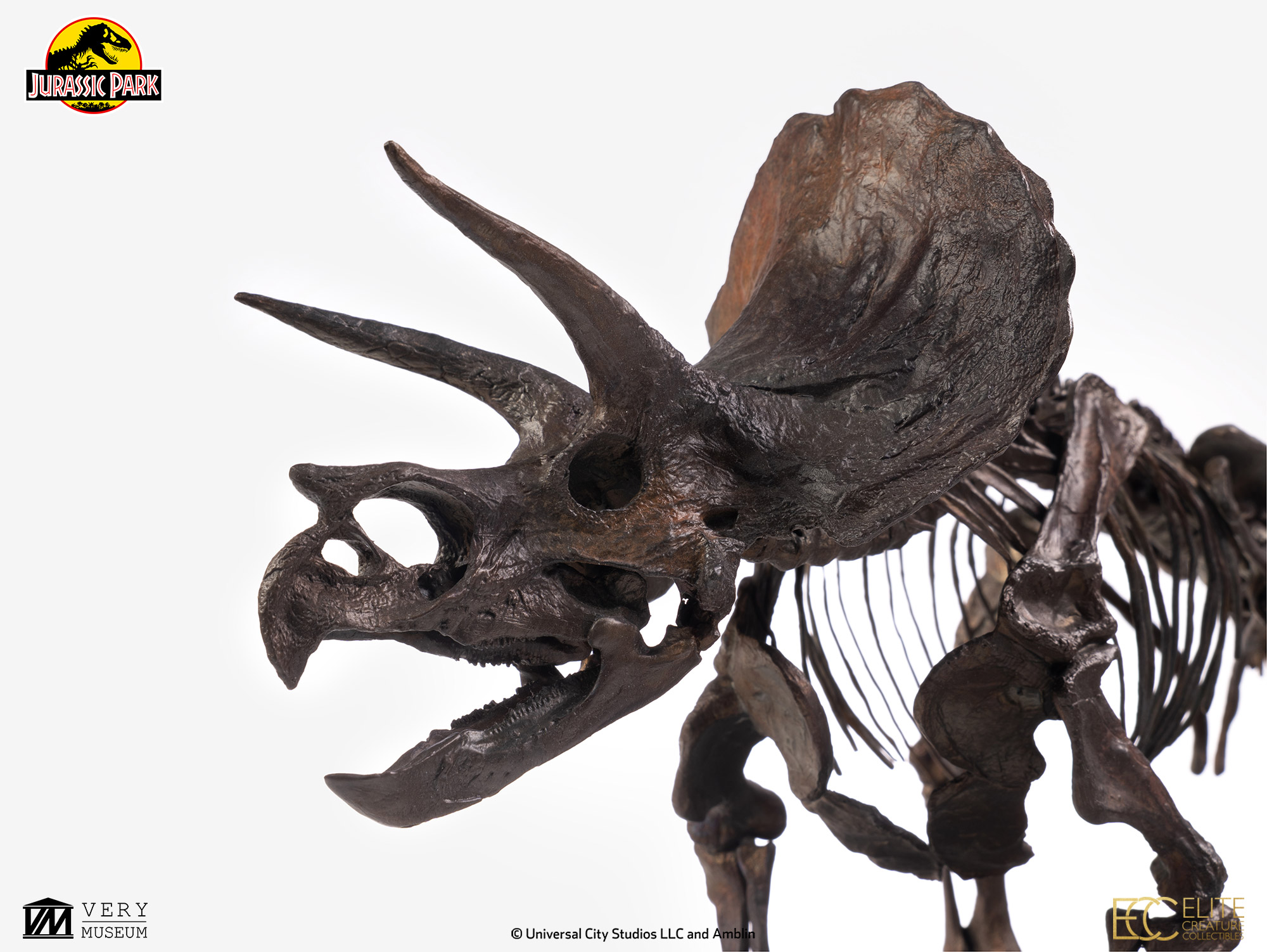 Triceratops Fossil Skeleton – 1/24 Scale Bronze