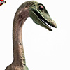 Compsognathus – 2/3 Scale Bronze