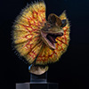 JP1 Dilophosaurus – 1/3 Scale Maquette