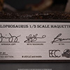 JP1 Dilophosaurus – 1/3 Scale Maquette