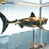 Jaws Statue Bronze 1/18 Scale