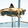 Jaws Statue Bronze 1/18 Scale
