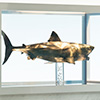 Jaws Statue Bronze 1/18 Scale