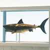 Jaws Statue Bronze 1/18 Scale