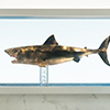 Jaws Statue Bronze 1/18 Scale