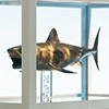 Jaws Statue Bronze 1/18 Scale
