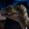 Junior T. rex Life-size Bust
