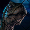 Junior T. rex Life-size Bust