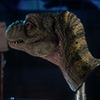 Junior T. rex Life-size Bust