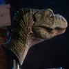 Junior T. rex Life-size Bust