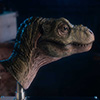 Junior T. rex Life-size Bust