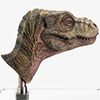 Junior T. rex Life-size Bust