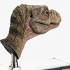 Junior T. rex Life-size Bust