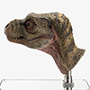 Junior T. rex Life-size Bust