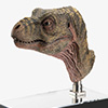 Junior T. rex Life-size Bust