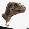 Junior T. rex Life-size Bust
