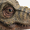 Junior T. rex Life-size Bust