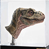 Junior T. rex Life-size Bust