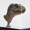 Junior T. rex Life-size Bust