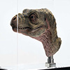 Junior T. rex Life-size Bust
