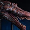 Spinosaurus Elite Scale Head Prop Reproduction