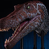 Spinosaurus Elite Scale Head Prop Reproduction