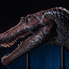 Spinosaurus Elite Scale Head Prop Reproduction
