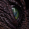 Spinosaurus Elite Scale Head Prop Reproduction