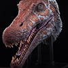 Spinosaurus Elite Scale Head Prop Reproduction
