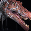 Spinosaurus Elite Scale Head Prop Reproduction