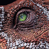 Spinosaurus Elite Scale Head Prop Reproduction