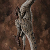 JP3 Female Velociraptor Maquette