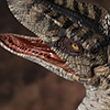 JP3 Female Velociraptor Maquette