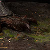Jurassic Park III: Spinosaurus 1:12 Scale Maquette