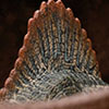 Jurassic Park III: Spinosaurus 1:12 Scale Maquette