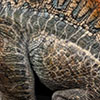 Jurassic Park III: Spinosaurus 1:12 Scale Maquette