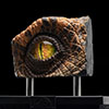 The Lost World: JP – Male Velociraptor Eye Prop Replica