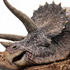 Jurassic Park Sick Triceratops – 1:8 Scale Maquette