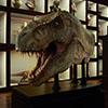 Jurassic Park Half Scale T-Rex Head Prop Reproduction