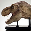 Jurassic Park Half Scale T-Rex Head Prop Reproduction