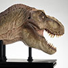 Jurassic Park Half Scale T-Rex Head Prop Reproduction
