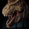 Jurassic Park Half Scale T-Rex Head Prop Reproduction
