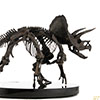 Triceratops Fossil Skeleton – 1:12 Scale Bronze
