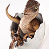 Jurassic Park: Velociraptor Egg Hatching