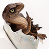Jurassic Park: Velociraptor Egg Hatching