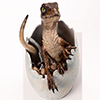 Jurassic Park: Velociraptor Egg Hatching