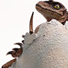 Jurassic Park: Velociraptor Egg Hatching