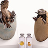 Jurassic Park: Velociraptor Egg Hatching