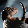 Jurassic Park: Velociraptor Egg Hatching